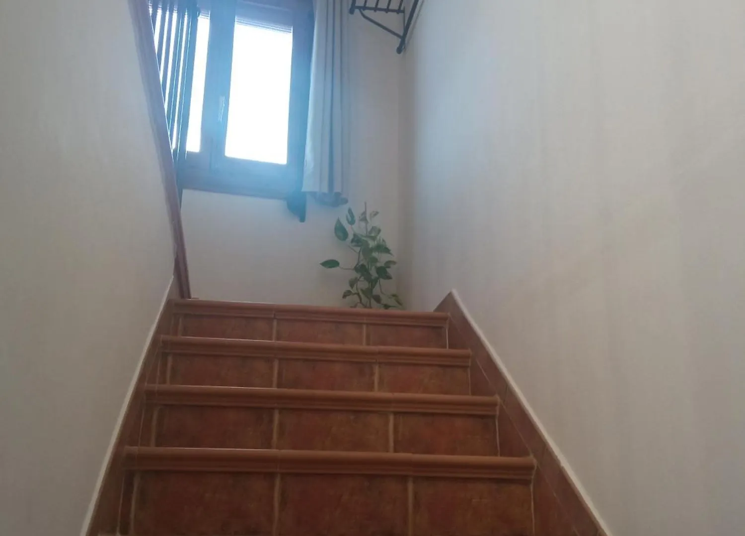 Apartamentos Virgen De Villaverde Ardales 0*,